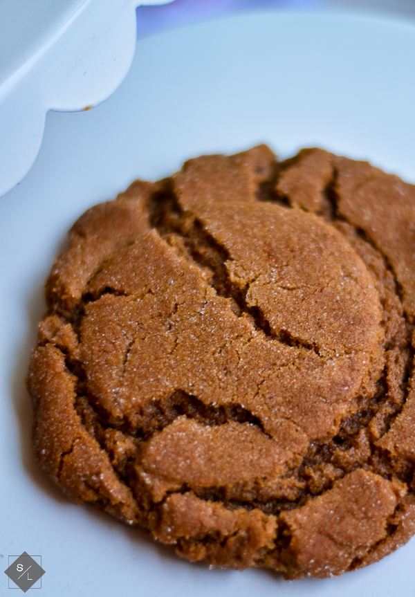 molasses cookie recipe