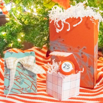 christmas gift bag under the tree