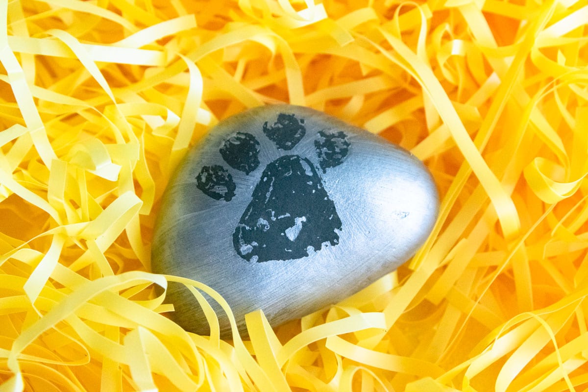 Lion Paw Painted Rock