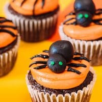 cupcakes d'araignée d'halloween