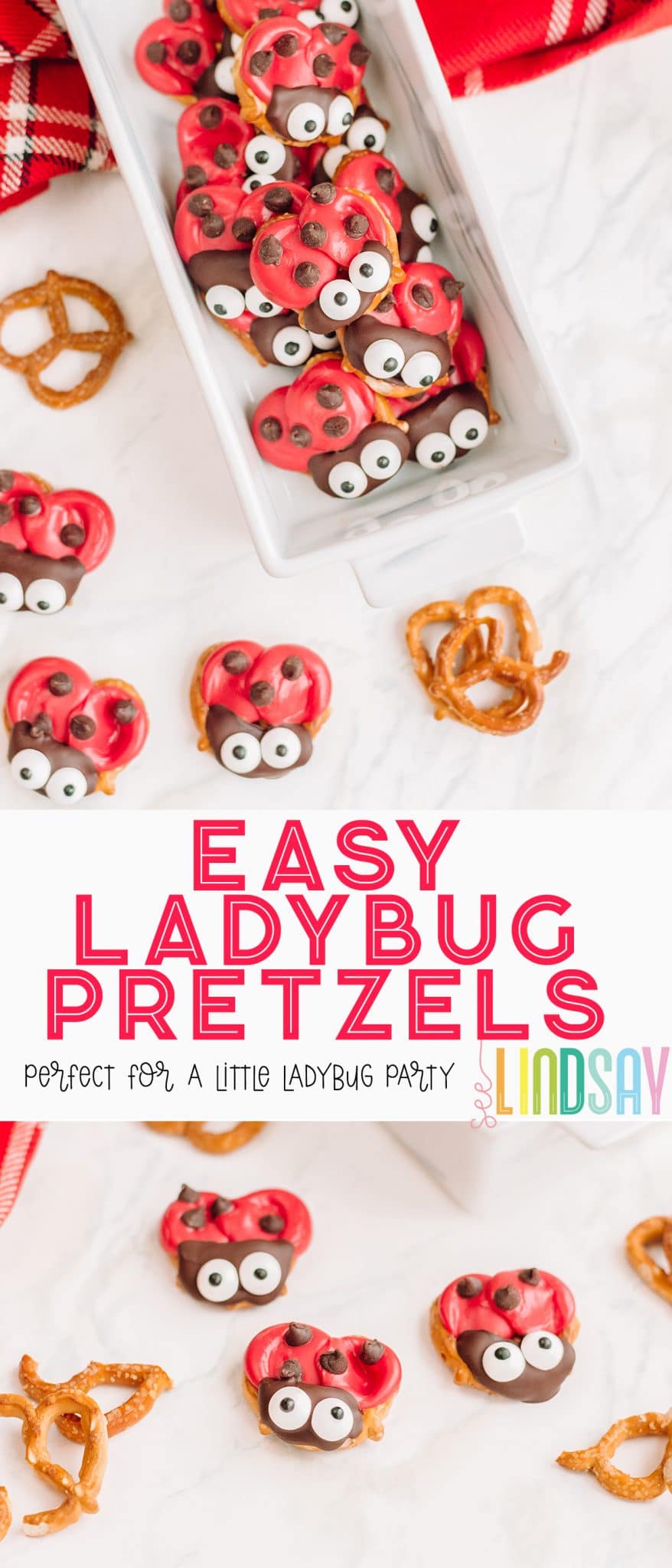 ladybug party food