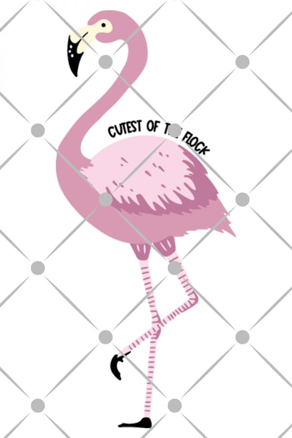 flamingo svg that says cutest of the flock